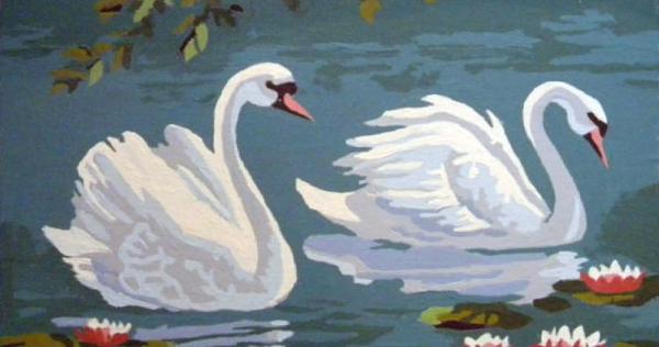 Swans (29DDD) | Paint By Number Museum